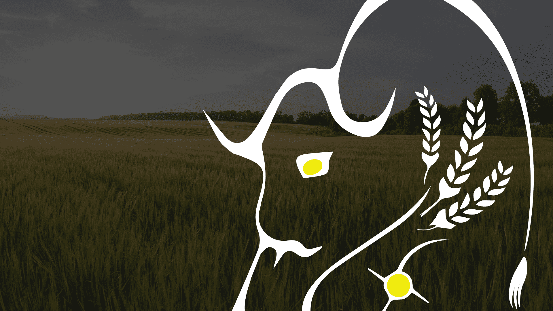 buffalo Web Cover siteicon